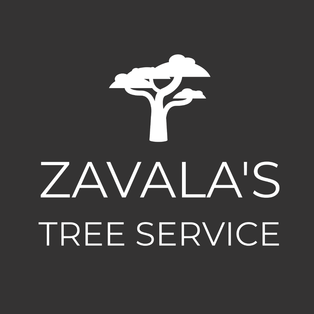 Zavala&apos;s Tree Service Logo