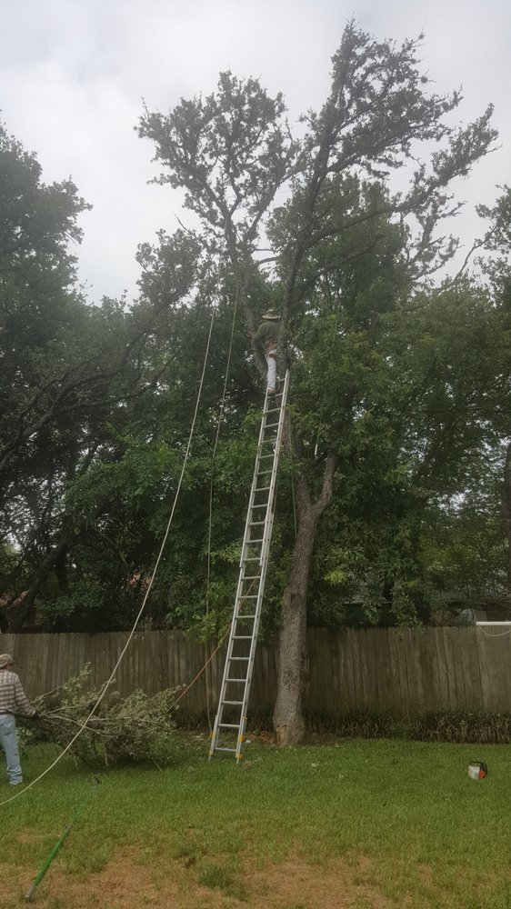 Cutpro Landscaping Image