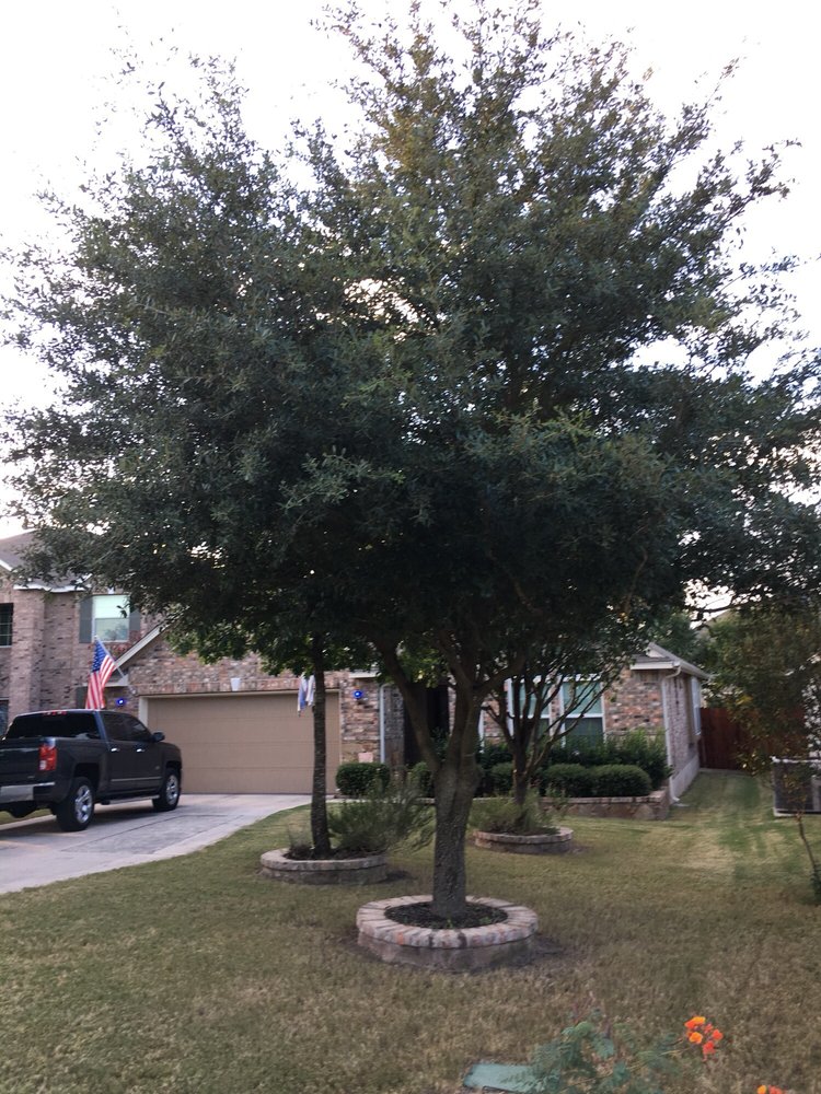 Cutpro Landscaping Image