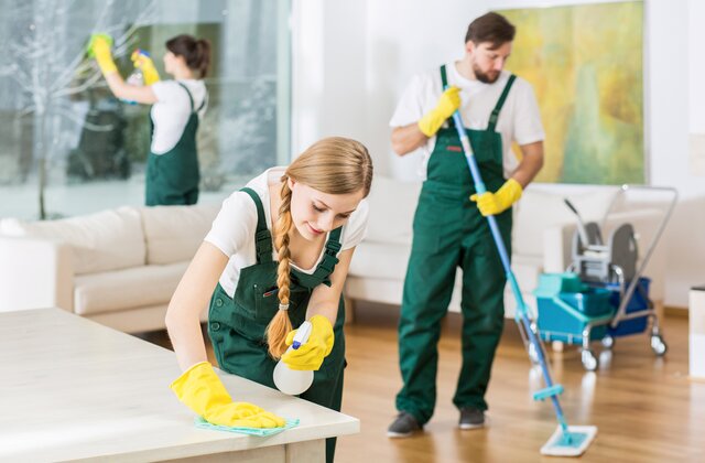 Vanessa Cleaning Services Image