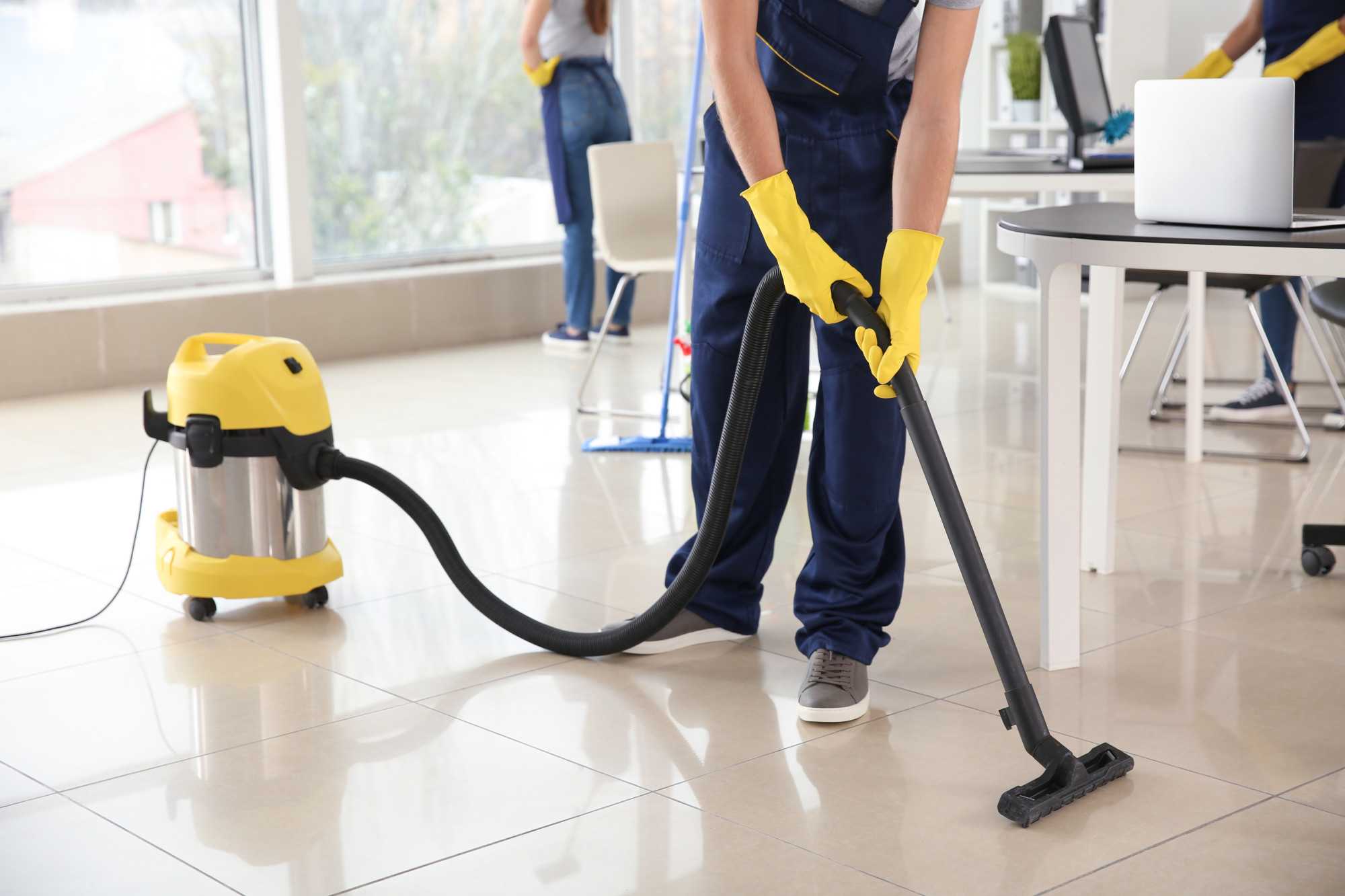 Vanessa Cleaning Services Image