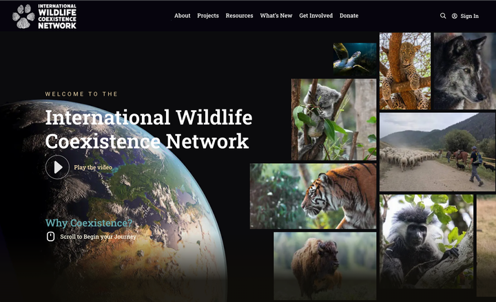 International Wildlife Coexistence Network - An IndieTech Solutions project promotes coexisting with wildlife.