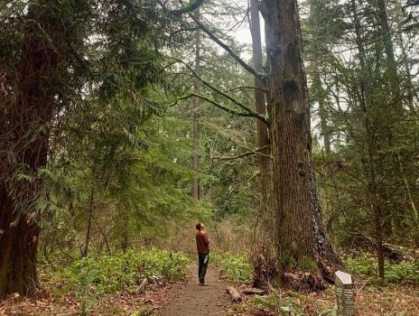 HartWood Tree Care Image