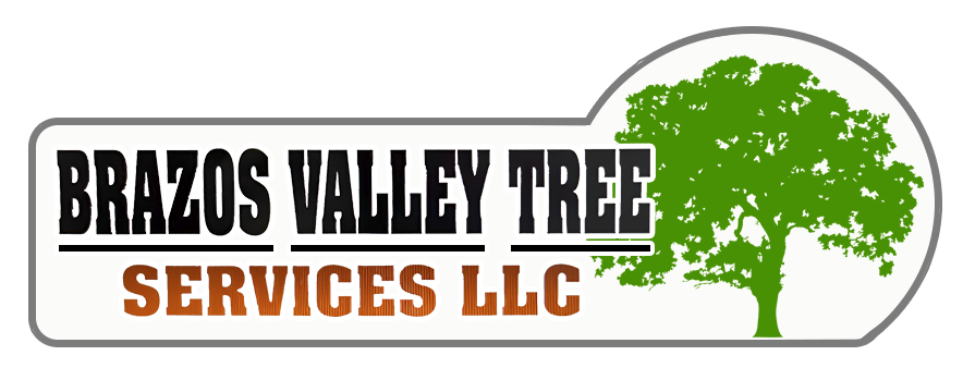 Brazos Valley Tree Services LLC Logo