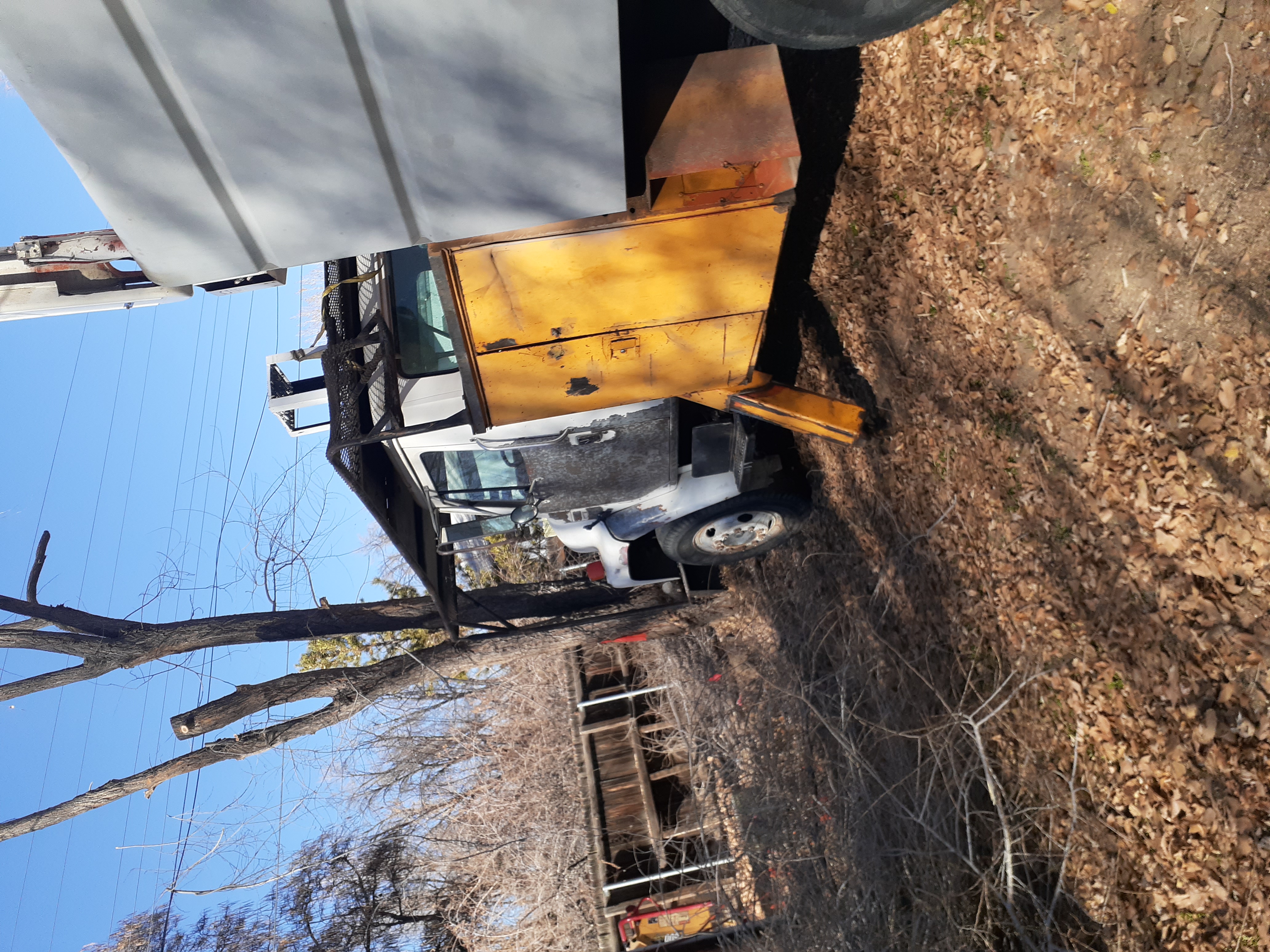 M&S Quality Tree Service LLC Image