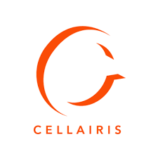 Cellairis Phone Repair Store Inside Walmart - Holly Springs Logo