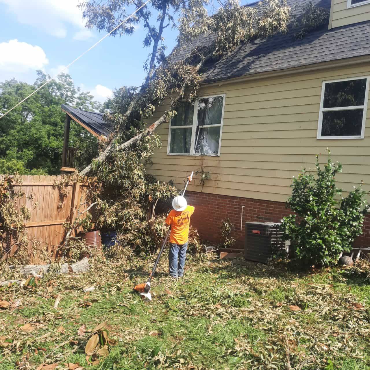 Samayoa Tree Services LLC Image