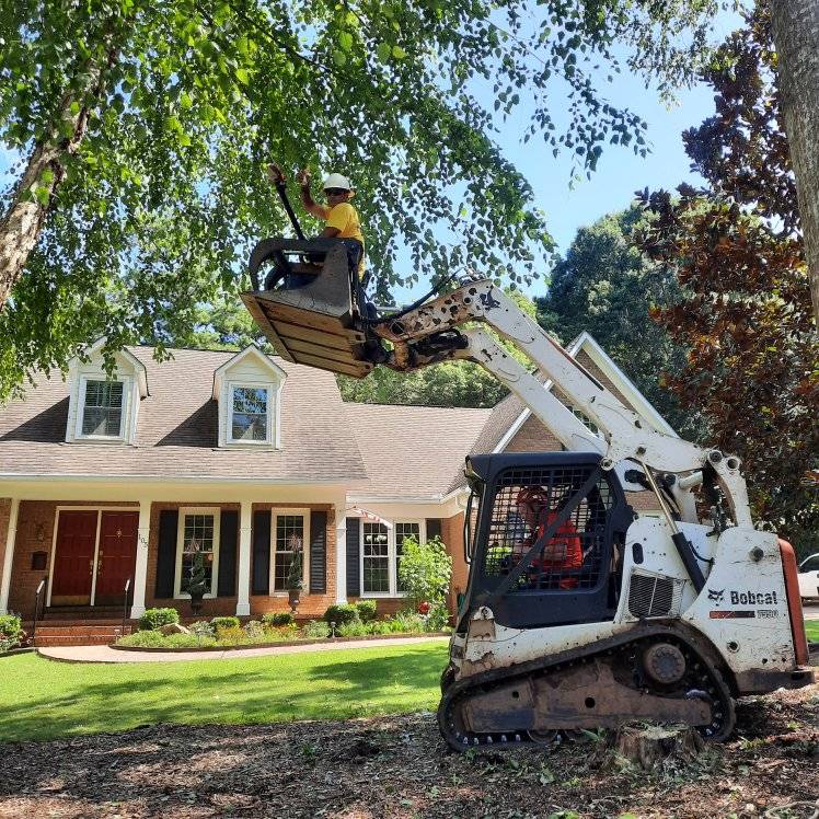 Samayoa Tree Services LLC Image