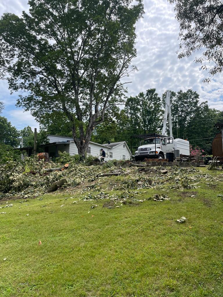 Eagle Tree Services LLC Image