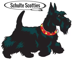 Scottish Terrier Puppies For Sale Icon