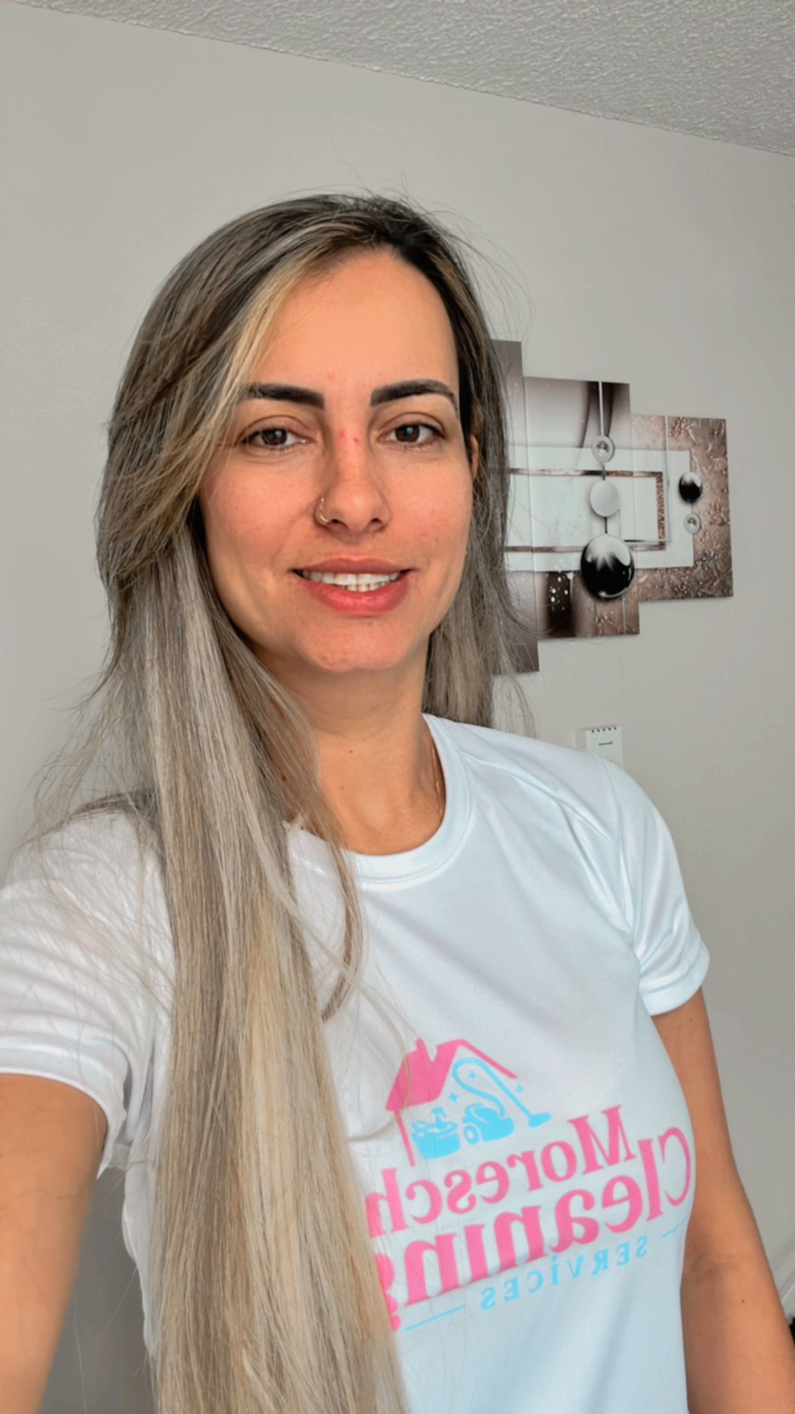 Moreschi Cleaning Service Inc Image