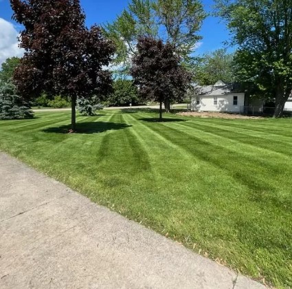 CF Lawn Care Image