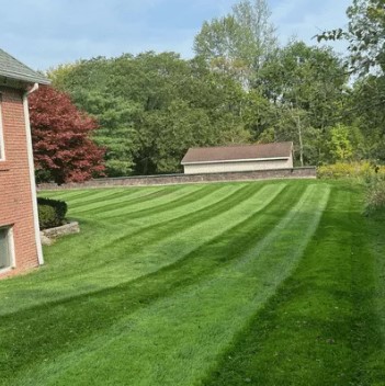 CF Lawn Care Image
