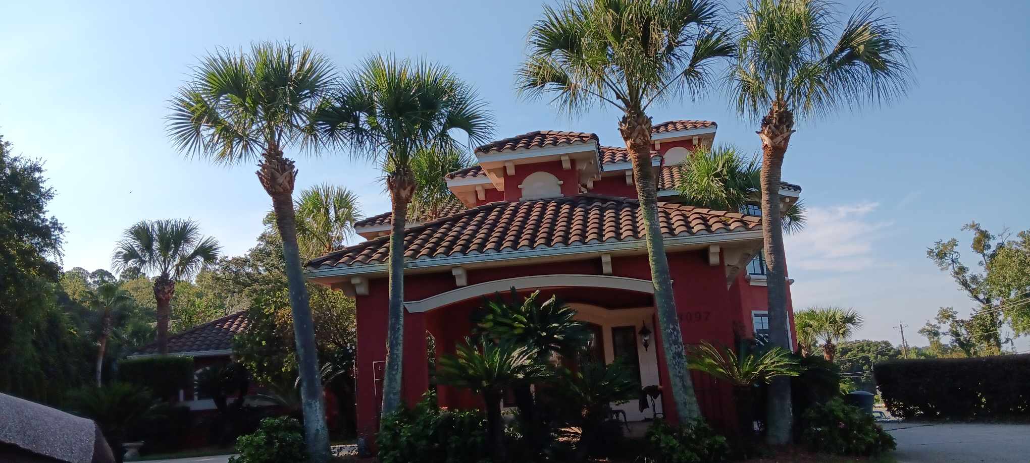 Gulf Palm Tree Pruning and Maintenance Co Image