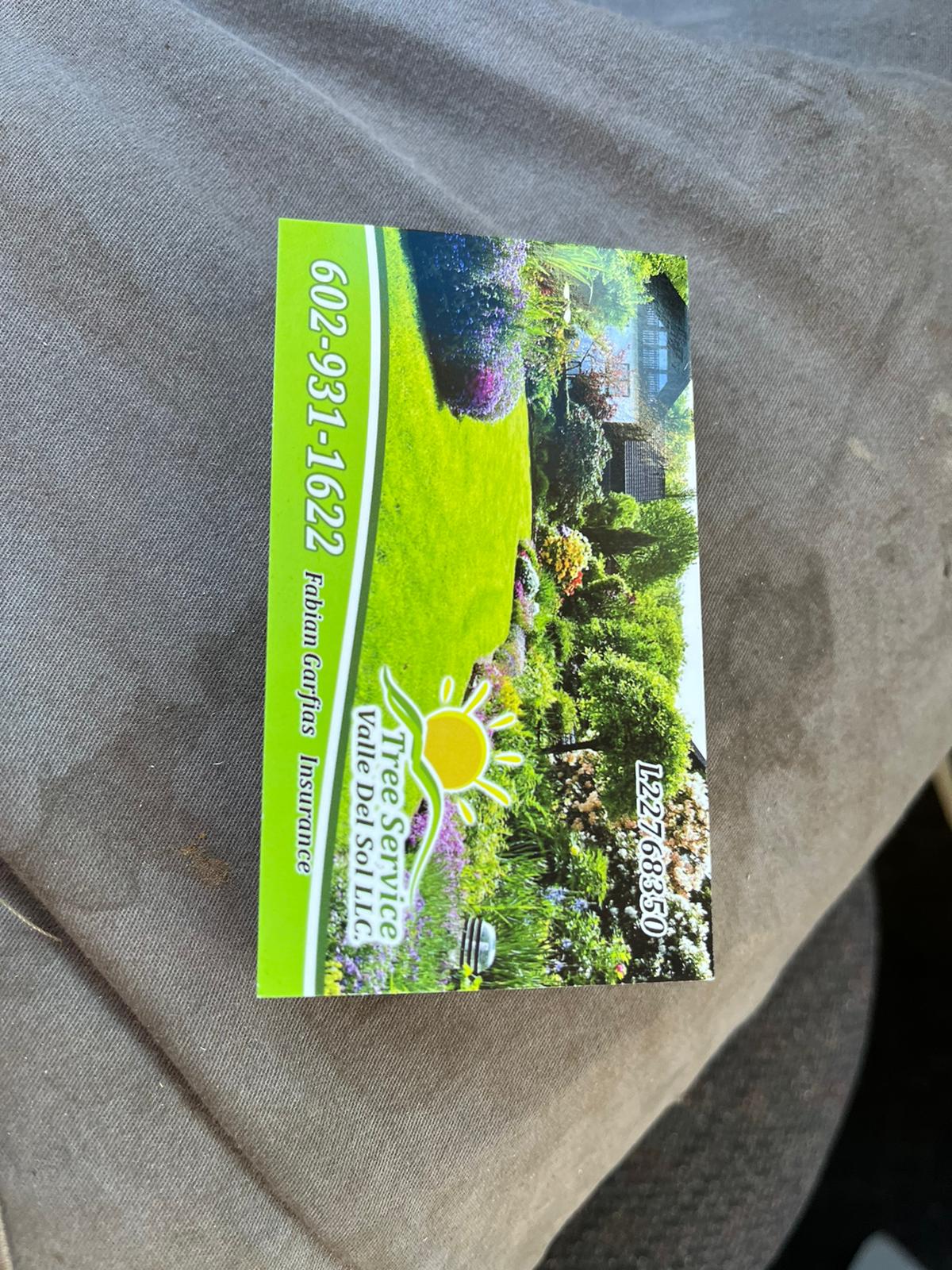 Tree Service Valle Del Sol Llc Image