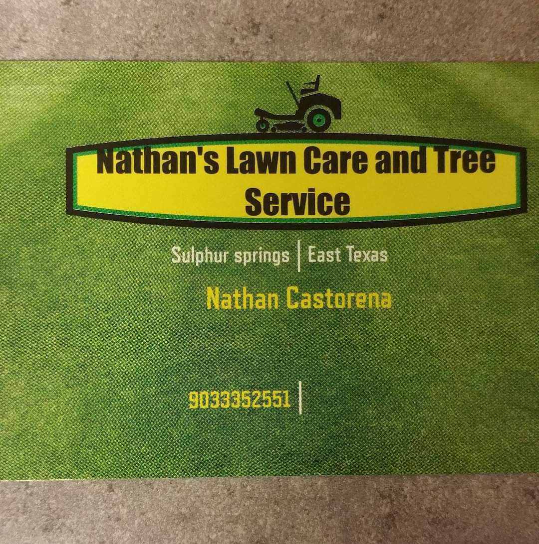 Nathan's Lawn and Tree Service Logo