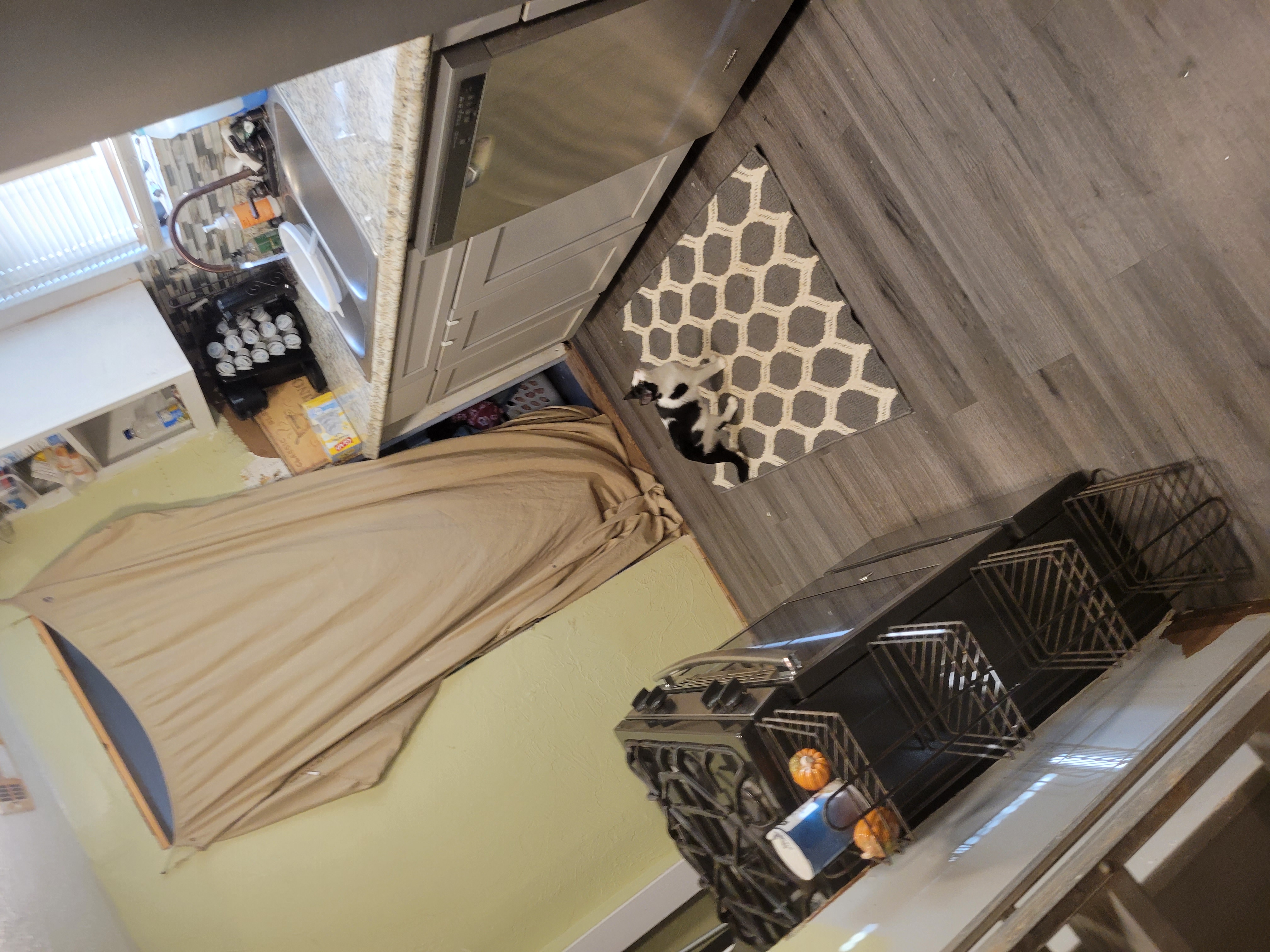 Alexis' Housekeeping Image