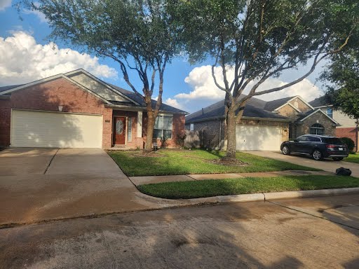 JM Tree Services Image