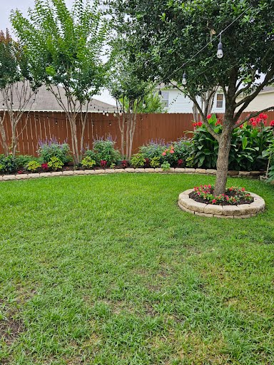 JM Tree Services Image