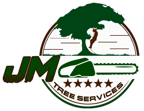 JM Tree Services Image