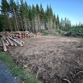 Oaks Corporation Image