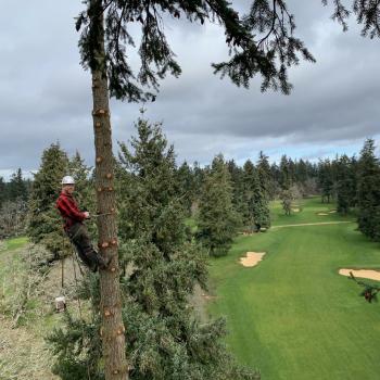 Oaks Corporation Image