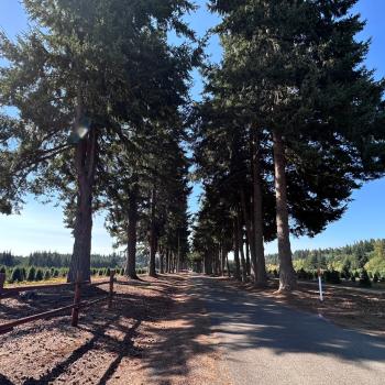 Oaks Corporation Image