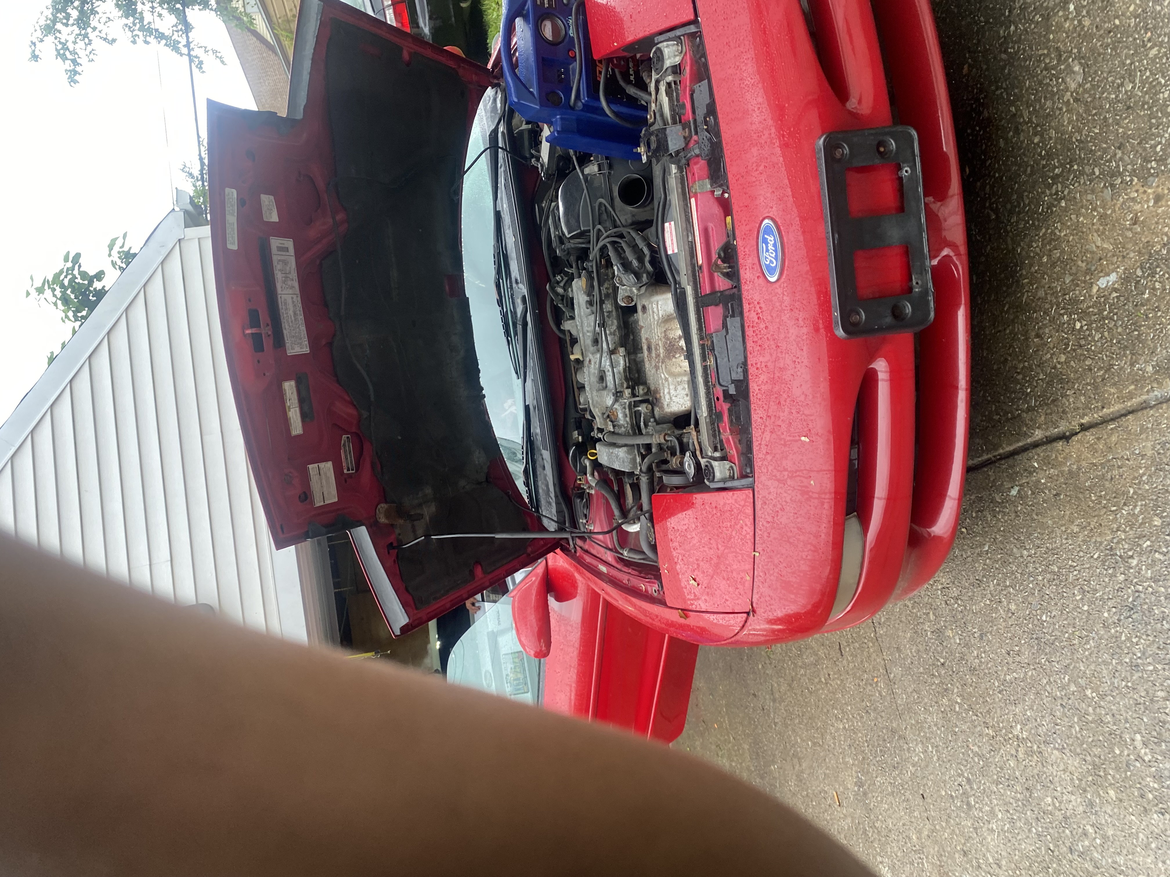 Yadiels Auto Shop