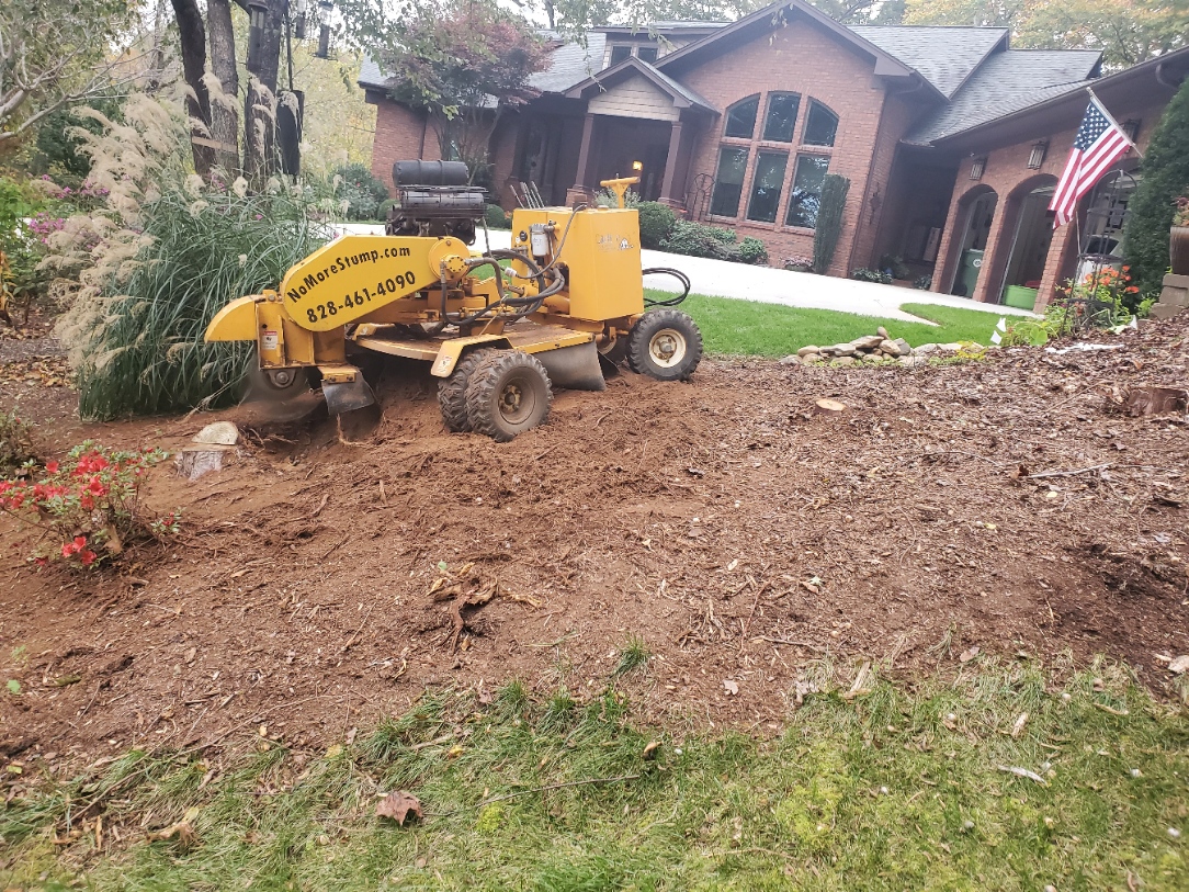 Catawba Stump Grinding Image