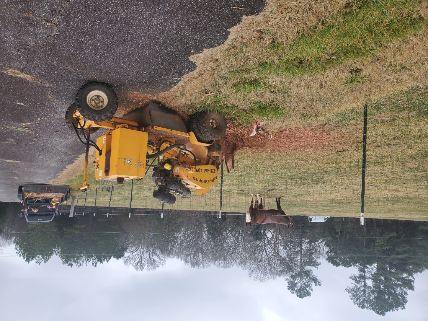 Catawba Stump Grinding Image