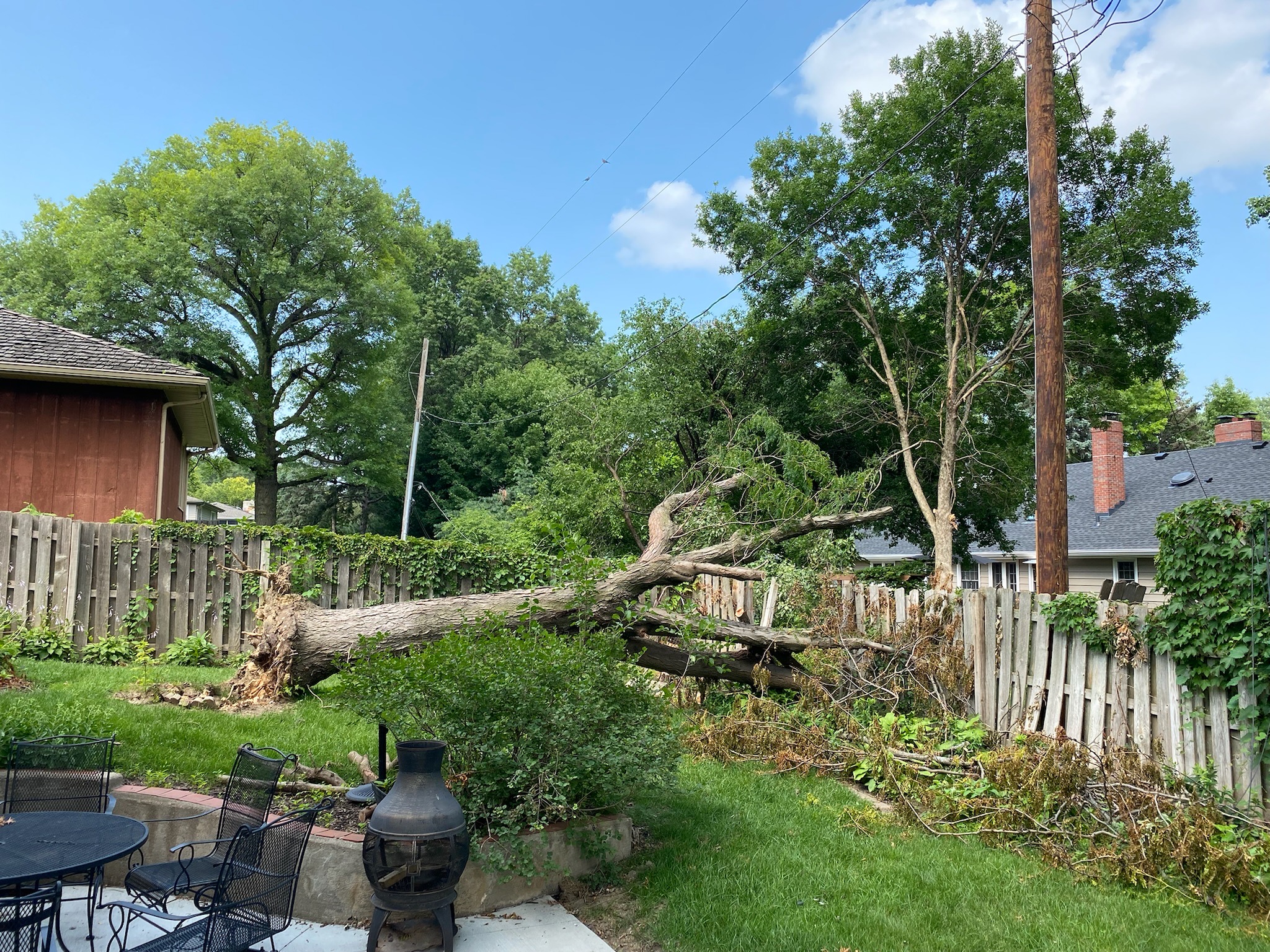 Marv's Tree Service Image