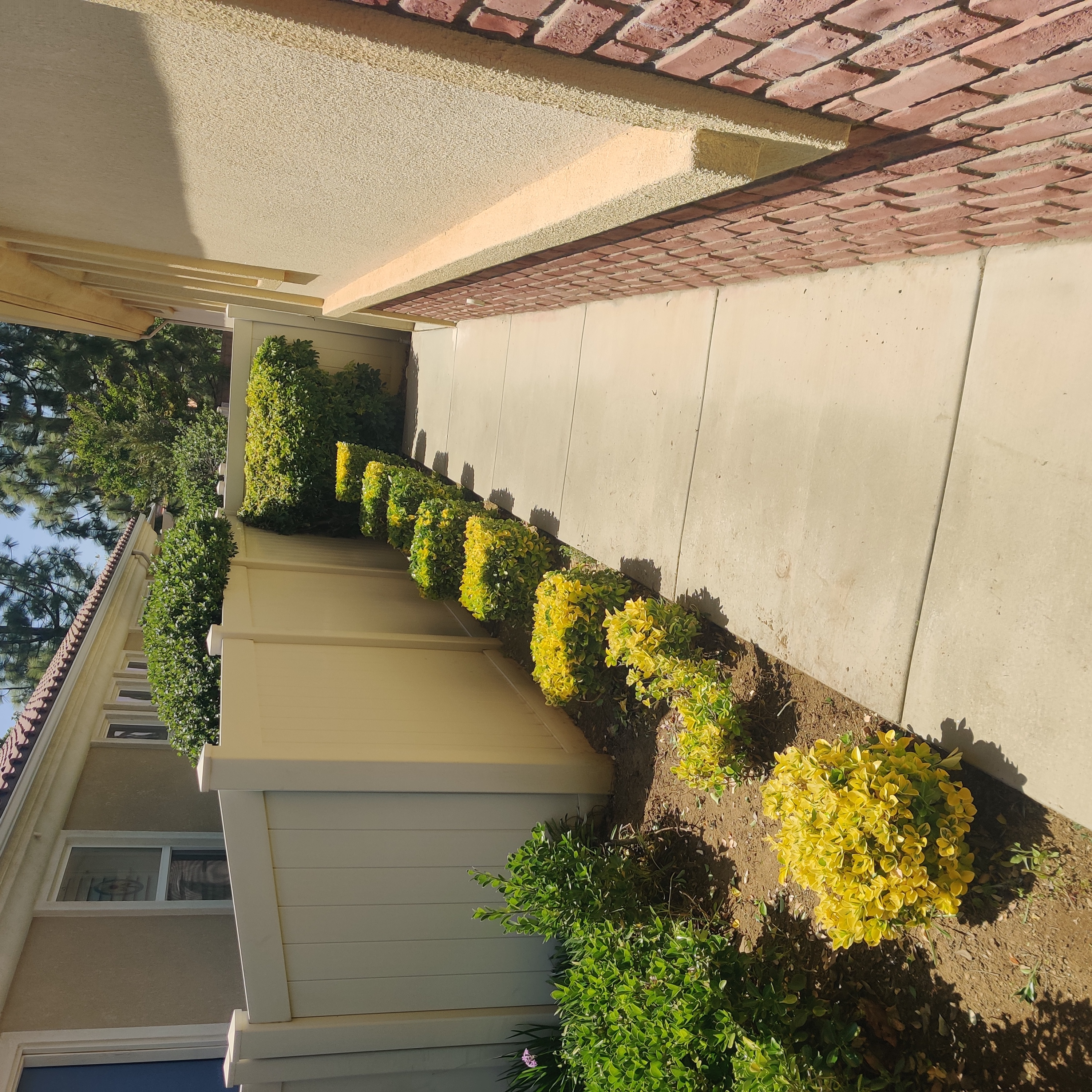 Sure Cut Landscape Services, Inc. Image