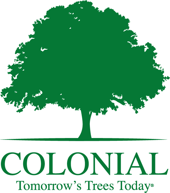 Colonial Tree Service, LLC Logo