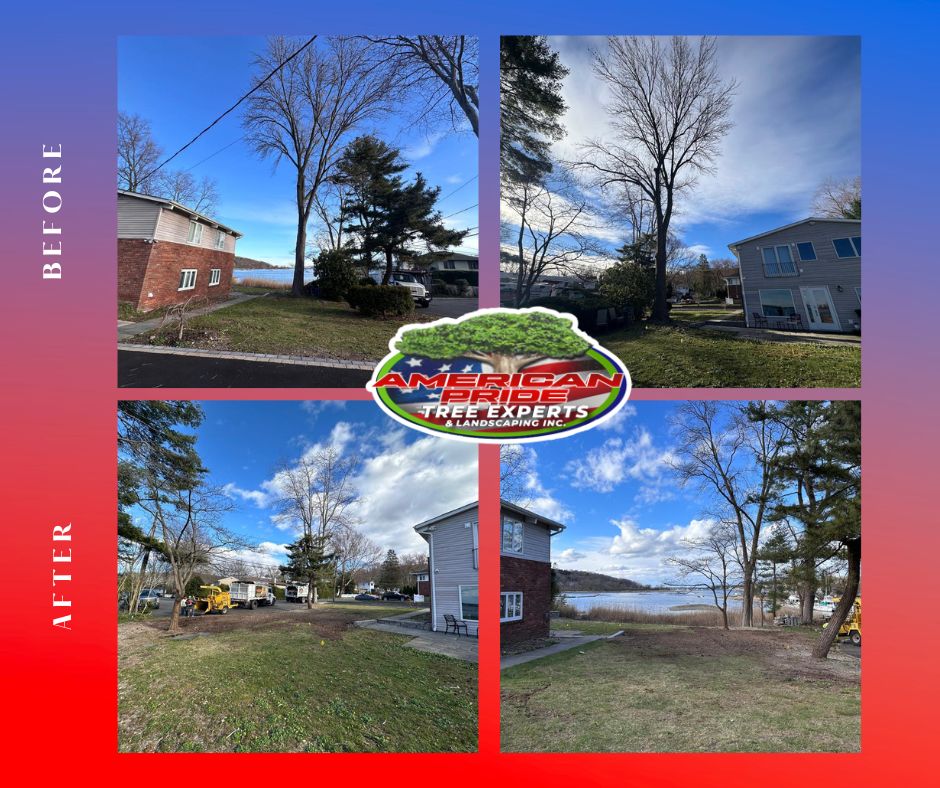 American Pride Tree Experts  & Landscaping INC Image