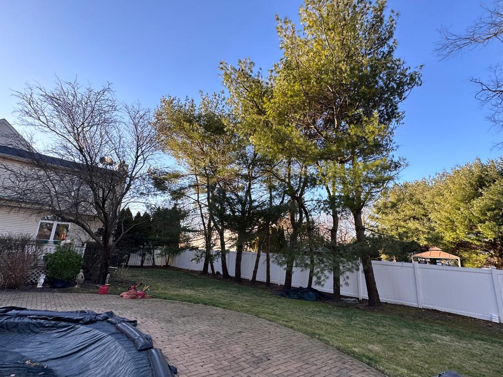 American Pride Tree Experts  & Landscaping INC Image