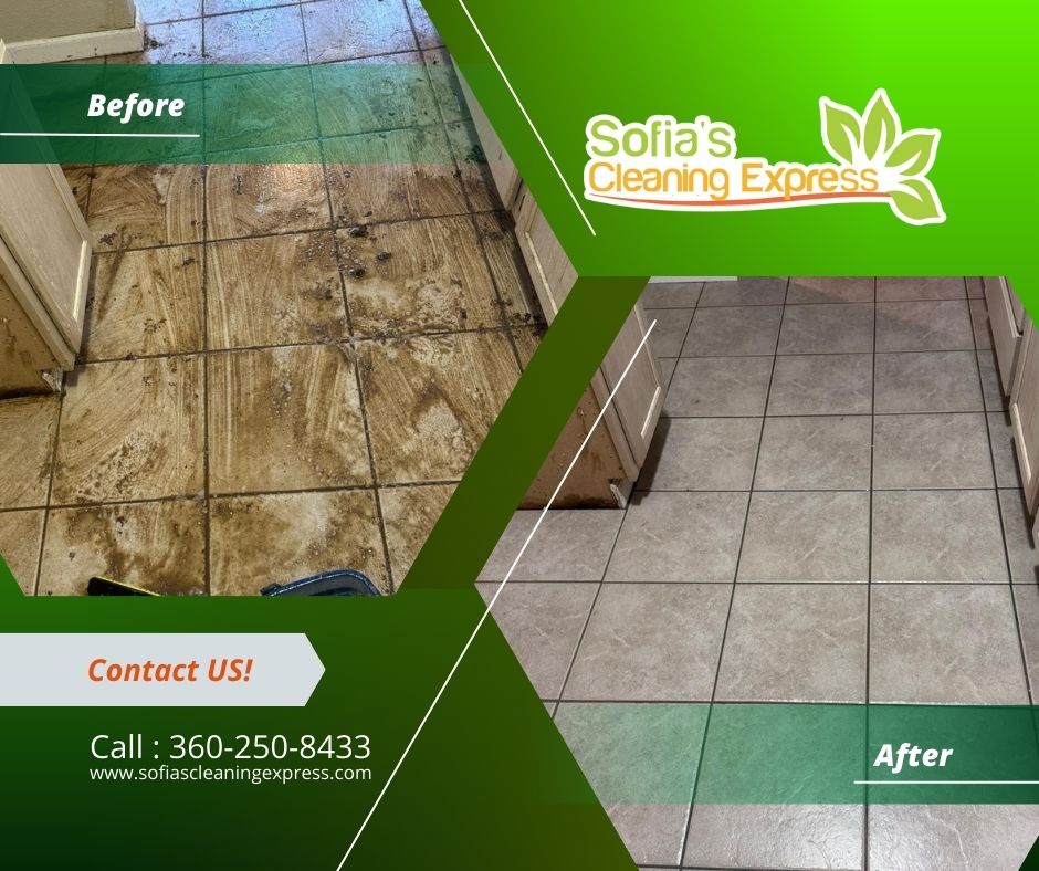 Sofia's Cleaning Express LLC Image