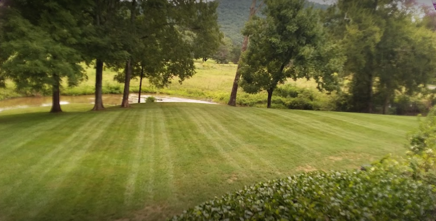 Grass Guru Landscaping Image