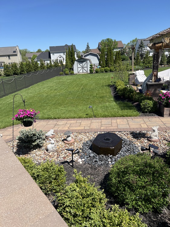 Greenix Pest Control Image