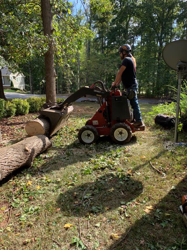 Dixie Arbor Care Image