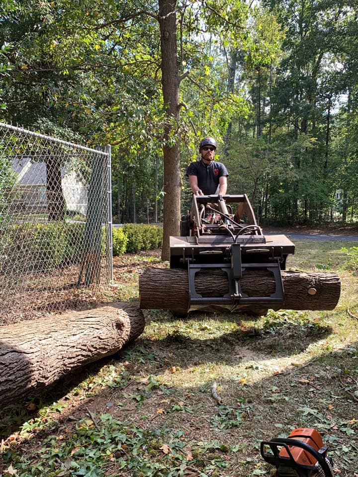 Dixie Arbor Care Image