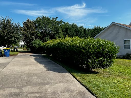 Lopez Lawn Care Landscaping LLC Image