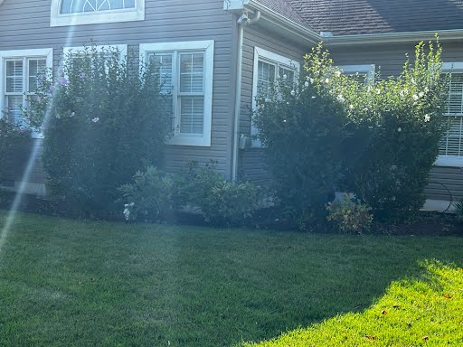 Lopez Lawn Care Landscaping LLC Image