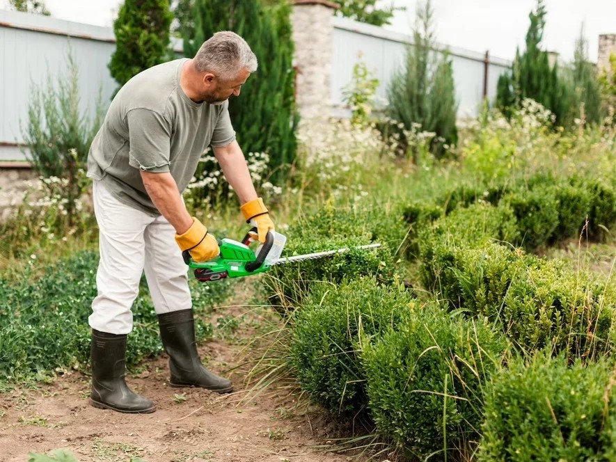 Geo Tree Service Image