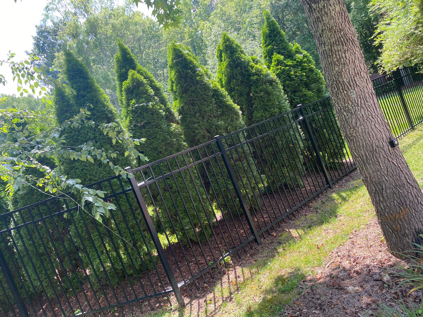 YYY&D LANDSCAPING MT LLC Image