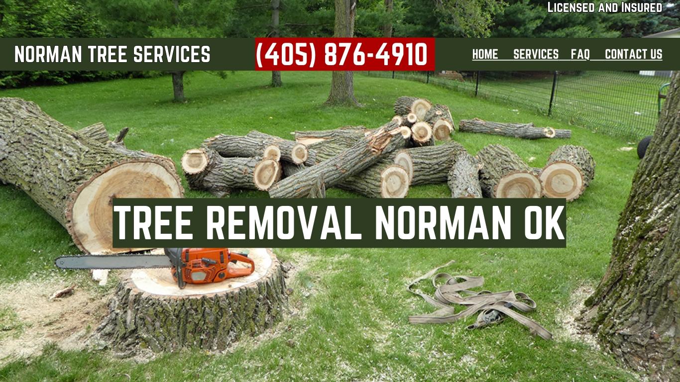 Norman OK Tree Removal Logo