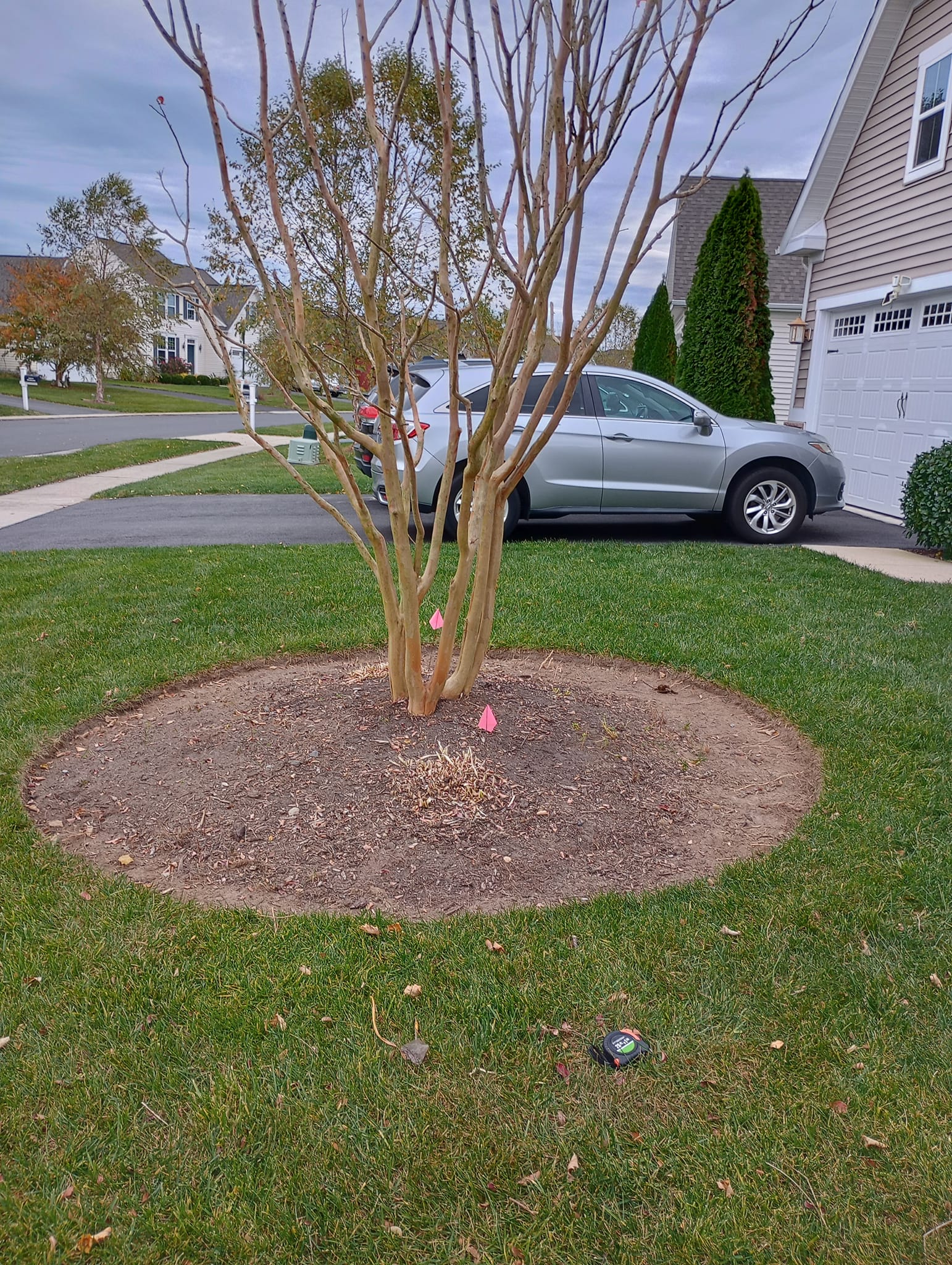 Anthony Landscaping LLC Image