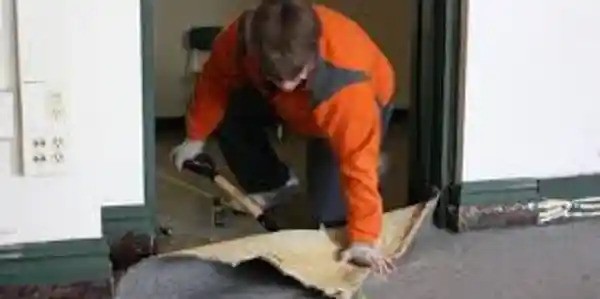 LuminousLeaf Carpet Cleaning Logo