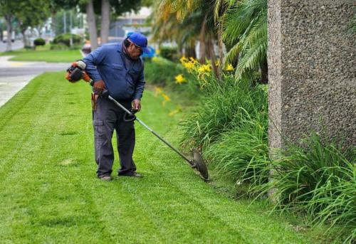 Pacific Green Landscape Maintenance Image