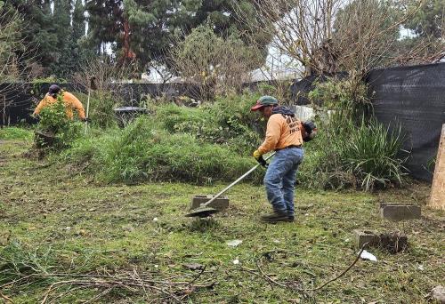 Pacific Green Landscape Maintenance Image