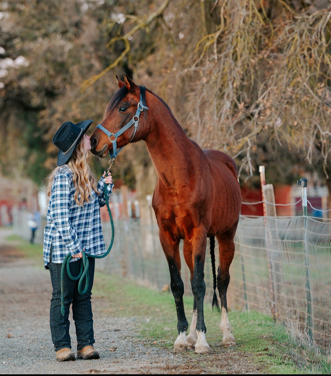 Saddle Up Sactown